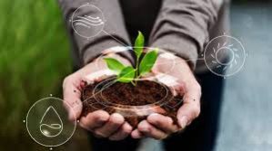 Smart Soil Health Management Naturally